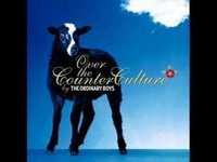 pochette album Over the counter culture