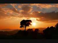 pochette album Of temptation born