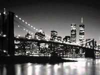 pochette album Why can't you behave?