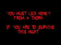 pochette album Where the river ends