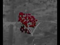 pochette album Bad note