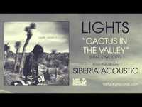 pochette album Cactus in the valley