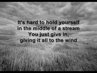 pochette album Giving it all to the wind