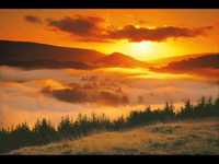 pochette album Roscoe's rule