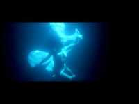 pochette album Mainstream nightmare