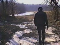 pochette album The fog