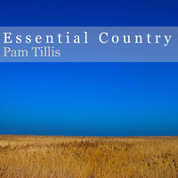 pochette album Spilled perfume / let that pony run / all the good ones are gone