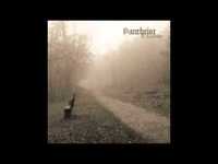 pochette album Curse the morning light