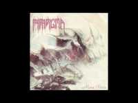 pochette album Journey's end