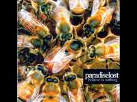 pochette album I am nothing