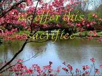 pochette album How beautiful