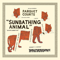 pochette album Sunbathing animal