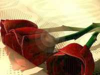 pochette album Besoin de rêver