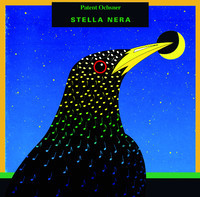 pochette album Bruscolo di terra