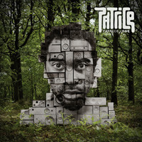 pochette album Walking alone