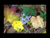 pochette album Half a person