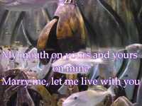 pochette album I don't like to sleep alone