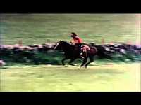 pochette album 3 legs