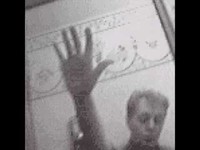 pochette album Back in the sunshine again