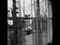 pochette album Certain softness