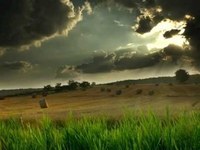 pochette album Follow on