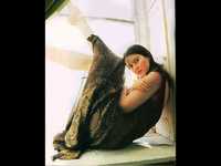 pochette album Jolene