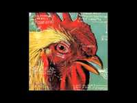 pochette album Shoot the singer