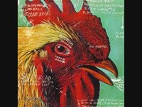 pochette album Texas never whispers