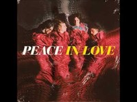 pochette album Waste of paint