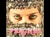 pochette album Stick it to the pimp