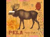 pochette album Tenement teeth