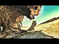 pochette album Your desert's not a desert at all