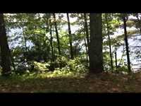 pochette album A woman caught