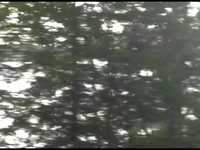 pochette album La reyna