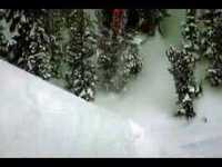 pochette album Surfin' usa