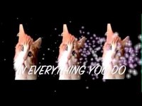 pochette album I'll be there for you