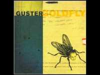pochette album Guster