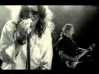 pochette album Niepokonani