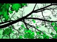 pochette album Widows by the radio