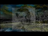 pochette album Twilight on the trail