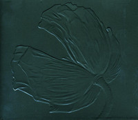 pochette album Sexy northerner