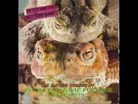 pochette album Easter bank holiday '83