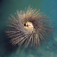 pochette album Downside-up