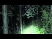 pochette album Nocturnals