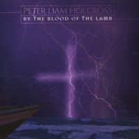 pochette album Wings to fly