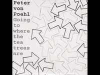 pochette album A broken skeleton