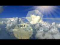 pochette album Birds of paradise