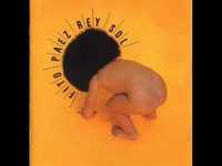 pochette album The shining of the sun