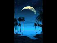 pochette album Moonshine still