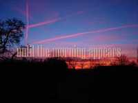 pochette album Fragile